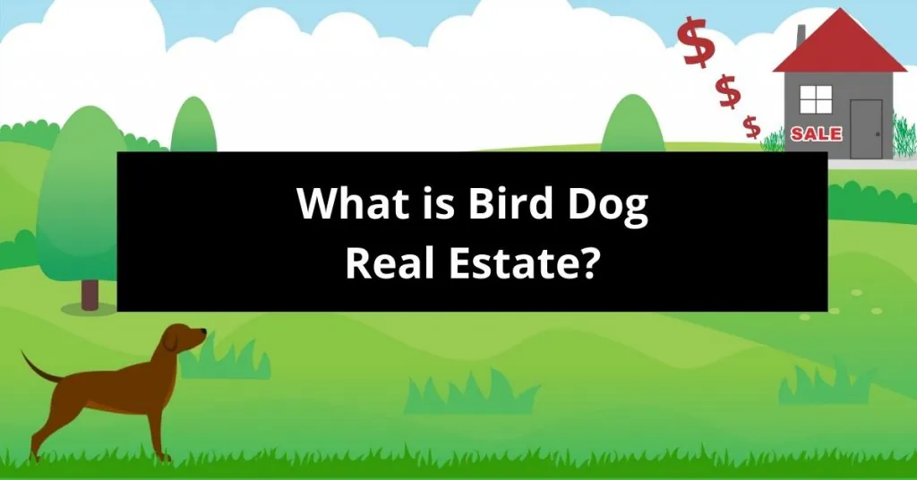 Bird Dog Real Estate 2023