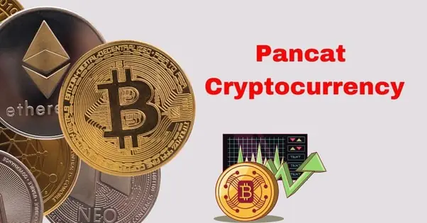 Buy Pancat Cryptocurrency: Your Ultimate Guide